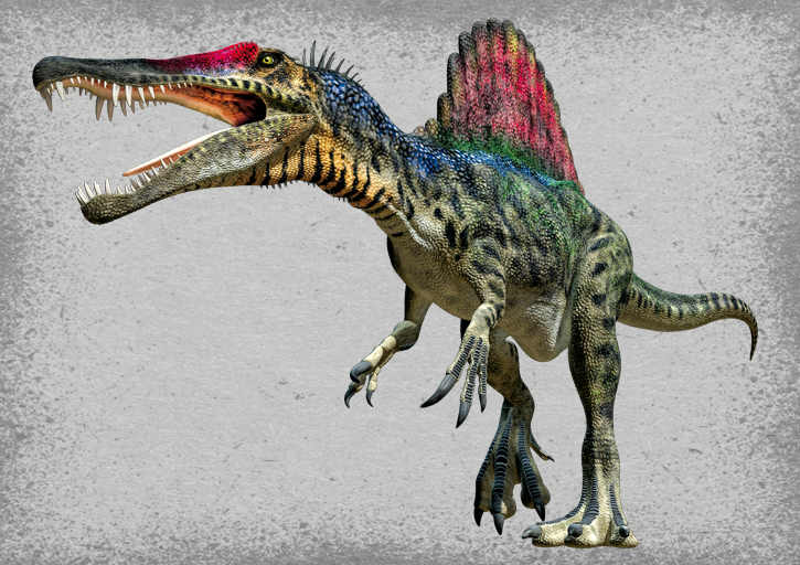 spinosaurus dinosaur 3d model